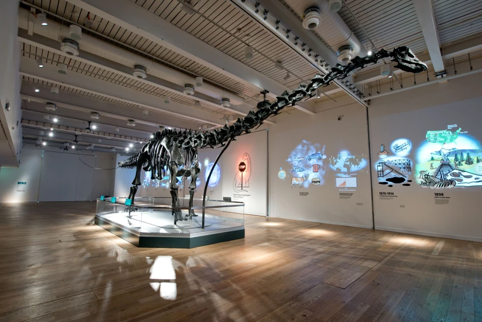 A Diplodocus dinosaur skeleton cast in the Great North Museum Hancock